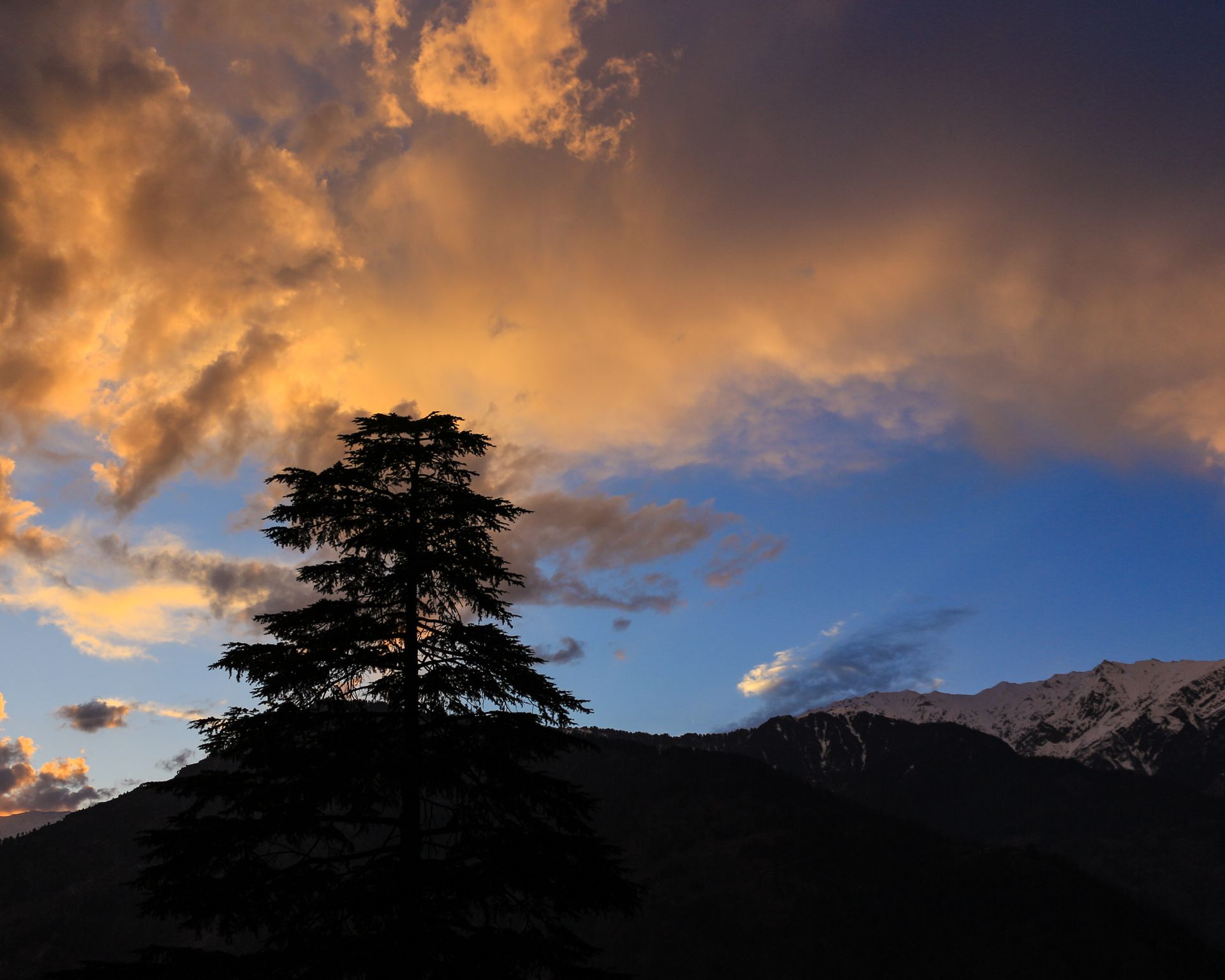 A blue-to-gold sunset sky with clouds catching the last light in the mountains, with a silhouetted tree adding depth to the frame.