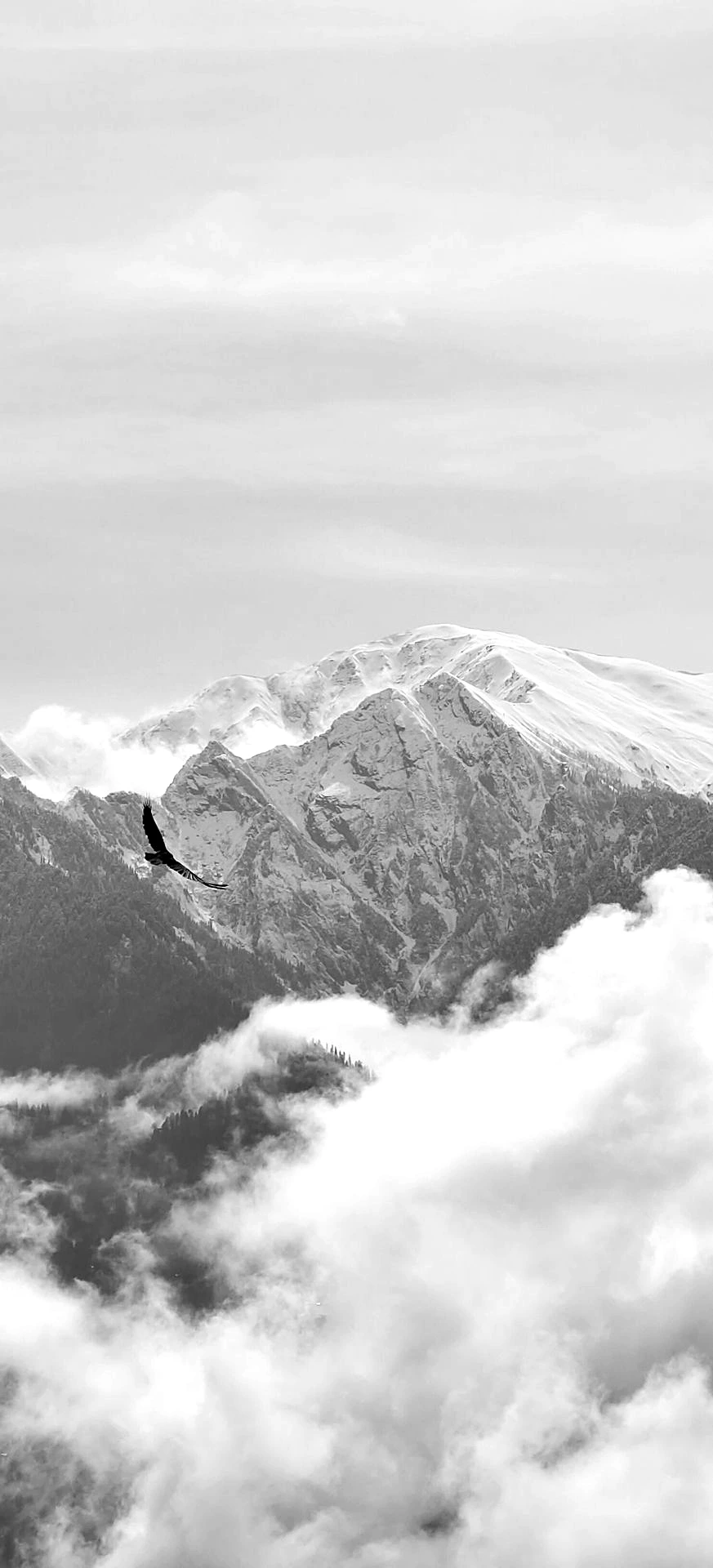 Explore the Himalayas with The F Stop Life photography retreat in Naggar. Improve your skills, capture stunning landscapes, and connect with creative photographers.