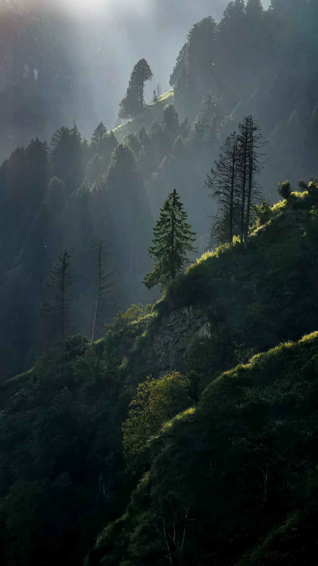 Soft golden light pierces through the misty Himalayan forest, illuminating the rugged slopes and lush greenery. A mesmerizing play of light and shadow, capturing nature’s raw beauty. Discover more breathtaking landscapes on FSTOP Life.