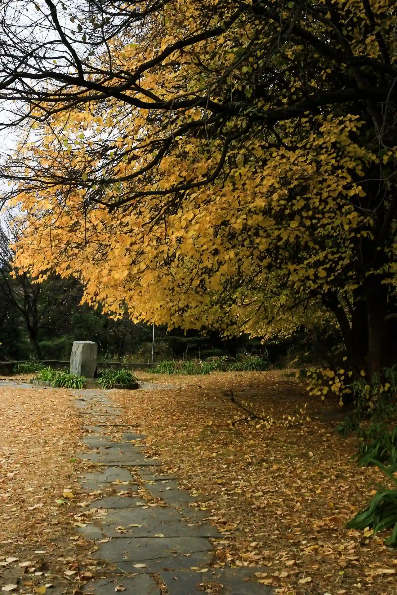 Golden autumn leaves surround the serene resting place of Nicholas Roerich and his wife in the Himalayas. A tribute to art, nature, and history, captured in a breathtaking seasonal transformation. Explore more at FSTOP Life.
