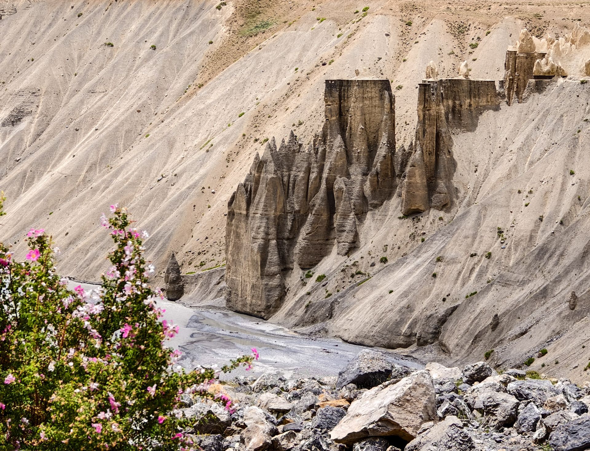 Rock formations in Spiti Valley, Himachal Pradesh, with wild rose bushes in the foreground adding contrast to the barren landscape.