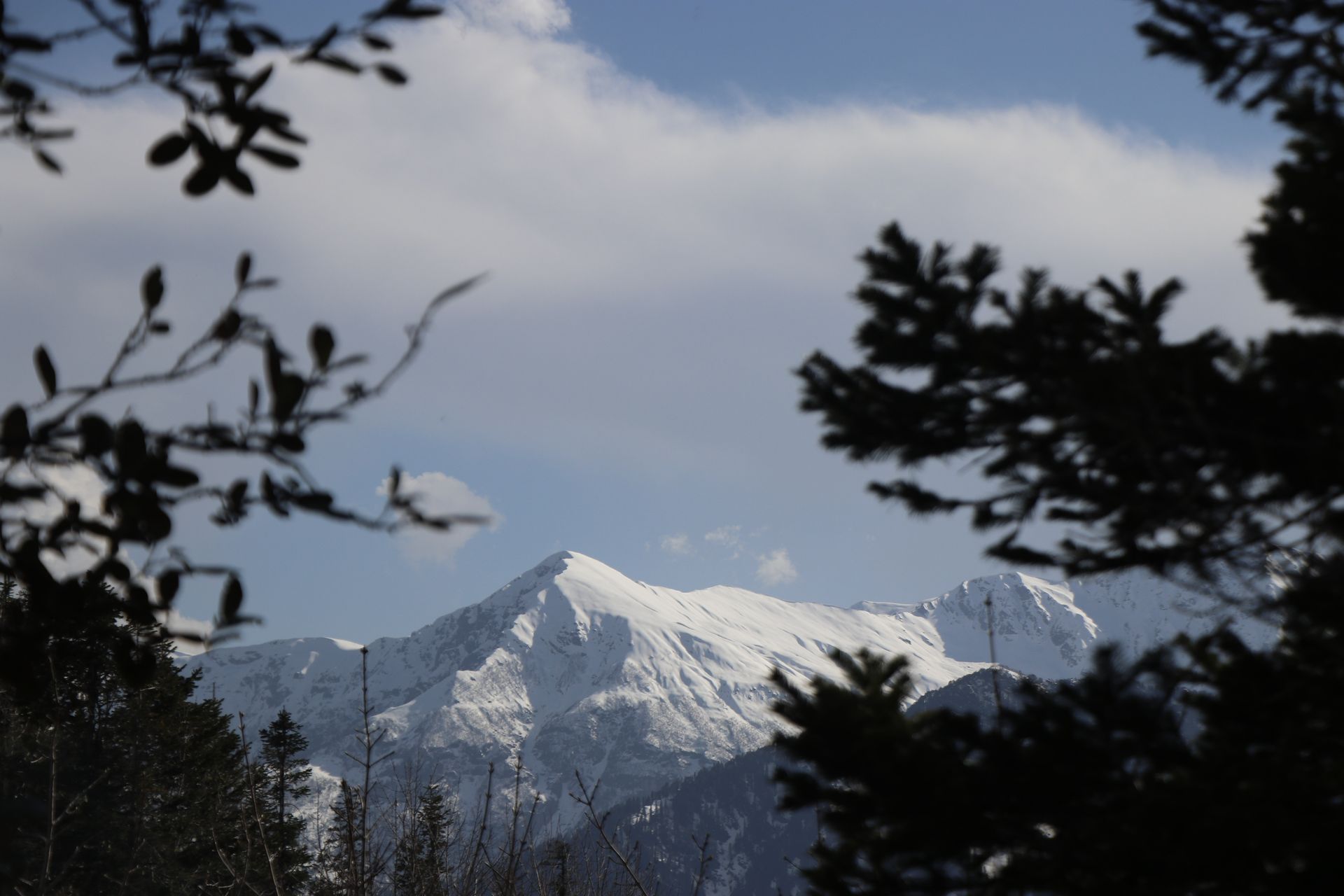 A view of Khanpari Tibba from Gulaba